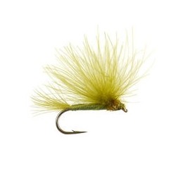 CDC Splitwing Olive