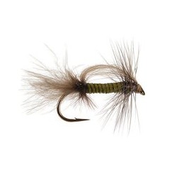 CDC Stillborn Medium Olive