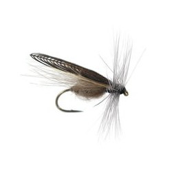 CDC Stone Fly
