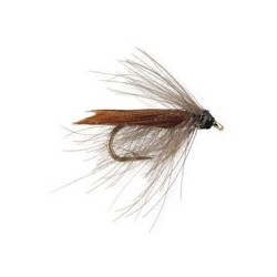 CDC Toms Small Sedge