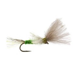 CDC Transition Dun Medium Olive