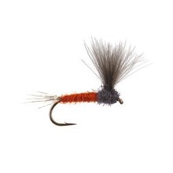 CDC Upright Rusty Ecdyo