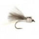 CDC White Dark Winged Bl