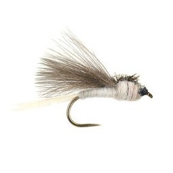 CDC White Dark Winged Bl