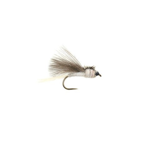 CDC White Dark Winged Bl