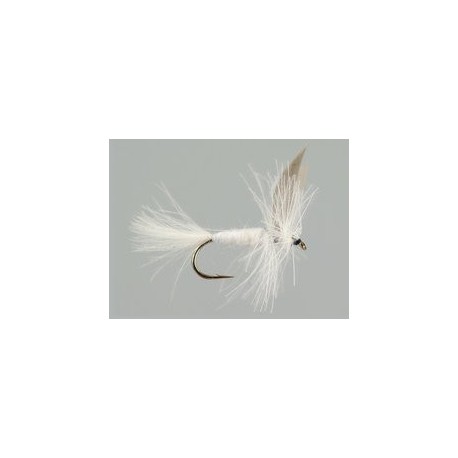 CDC White Winged Dry