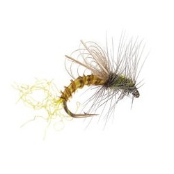 CDC Winged Emerger Bwo