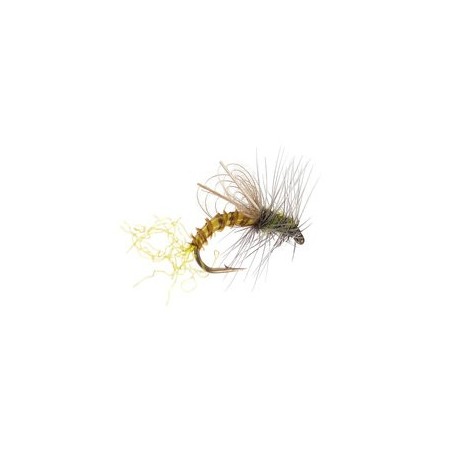 CDC Winged Emerger Bwo