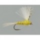 CDC Yellow Dun
