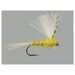 CDC Yellow Dun