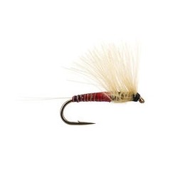 Half CDC (Olive Dun) Orange