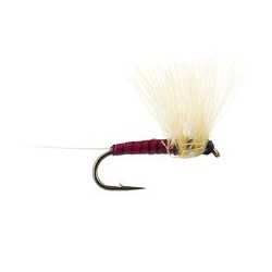 Half CDC (Olive Dun) Red