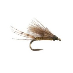 Kiochis CDC Baetis Dun