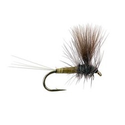 Kiochis CDC Thorax Flav