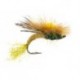 Kyles Hfh Caddis Olive