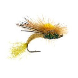 Kyles Hfh Caddis Olive