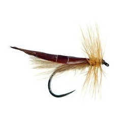 My Small Classic CDC Sedge