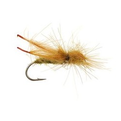 Olive CDC Hopper