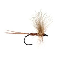 Pheasant Tail
