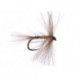 Rainbow Grayling Catcher CDC Bl