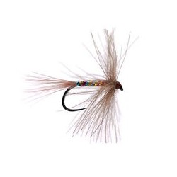 Rainbow Grayling Catcher CDC Bl