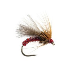 Red Grayling Dream Bl