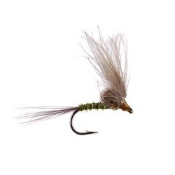Straight Loopwing CDC Quill Emerger Olive