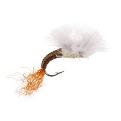 Trinas CDC Budding Emerger Pmd