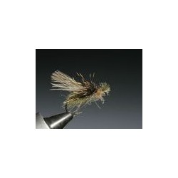 Trojan Caddis
