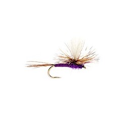 Adams Purple Parachute