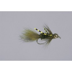 Carters Olive Rl Dragon