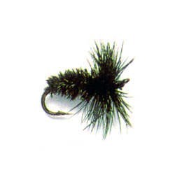 Black and Peracock Dry