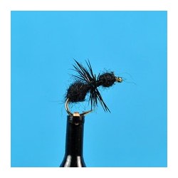 Black Ant