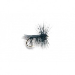 Black Caddis