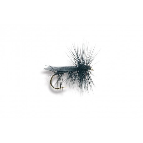 Black Caddis