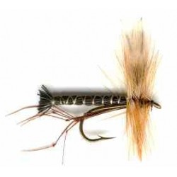 Black Daddy Long Legs