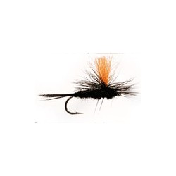 Black Gnat Orange