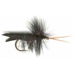 Black Horned Caddis