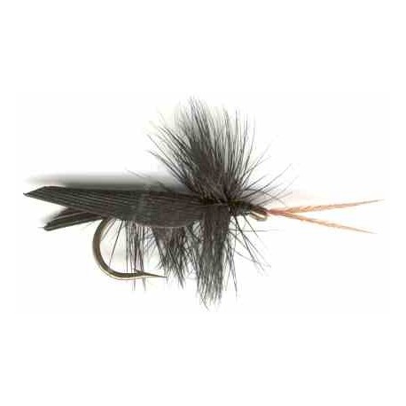 Black Horned Caddis