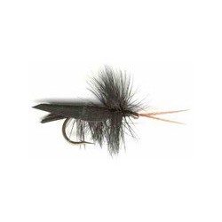 Black Horned Caddis