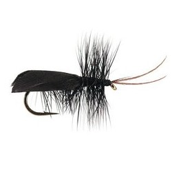 Black Horned Roofing