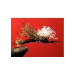 Black Madame X Parachute