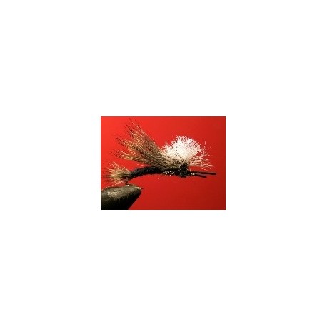 Black Madame X Parachute