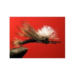 Black Madame X Parachute