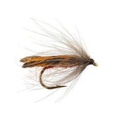 Brown Stocking Wings Caddis