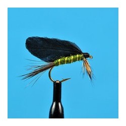 Burnt Wing Green Drake