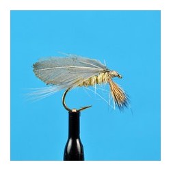 Burnt Wing Light Hendrickson