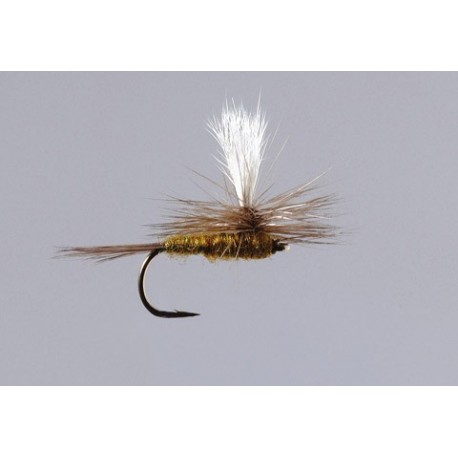 Bwo Parachute