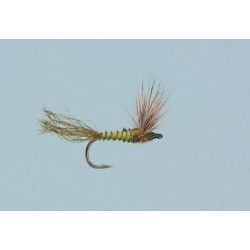 Bwo Sparkle Dun Biot