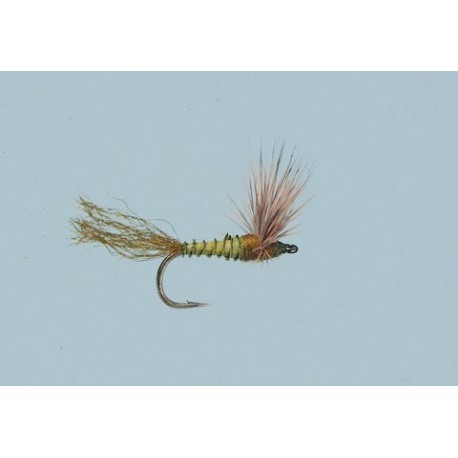 Bwo Sparkle Dun Biot